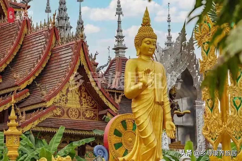 西双版纳康养过冬,康养过冬西双版纳