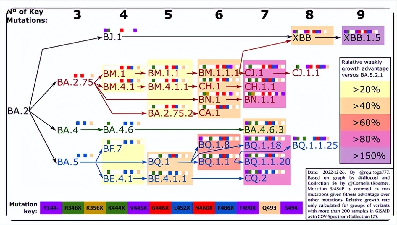 xbb来袭有必要囤蒙脱石散吗,xbb袭来要囤纸尿裤吗