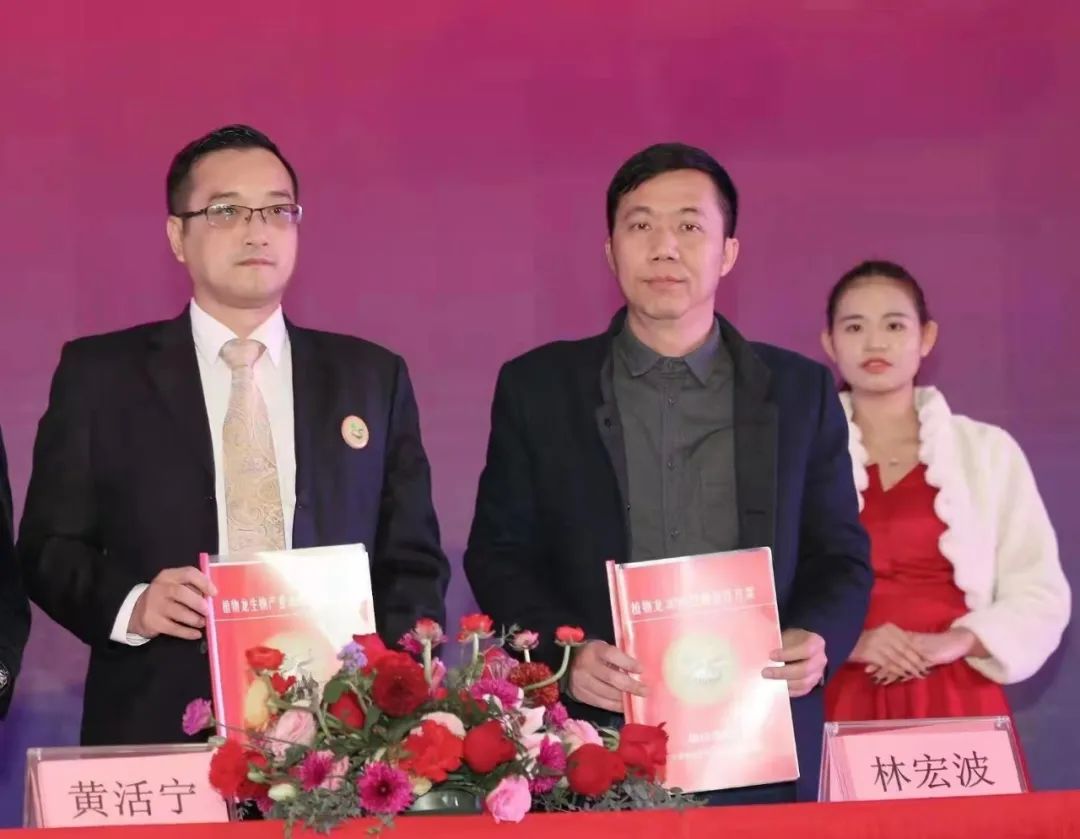 农资市场规划和运作思路,农资产业链整合