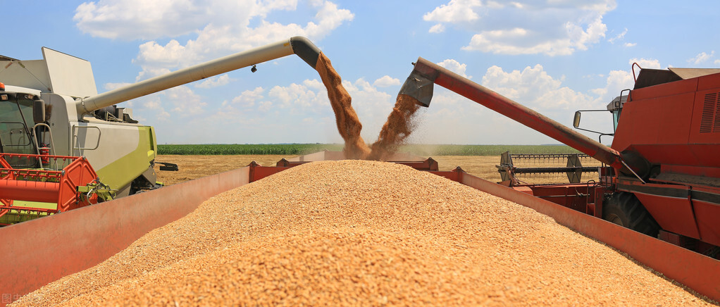 一三年后粮价预测,最近几年最高粮价