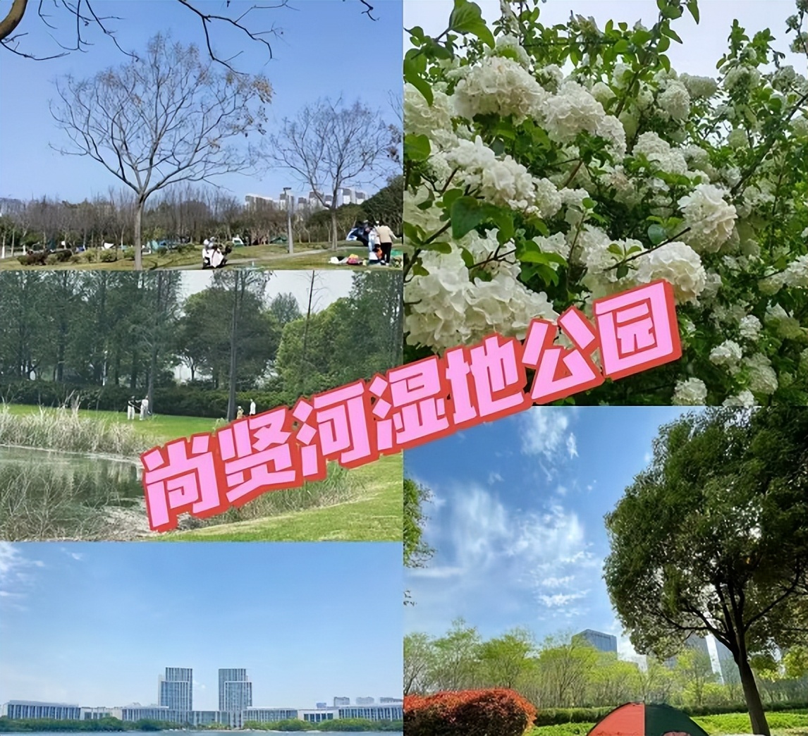 广州网红露营地推荐,新都桥网红露营地推荐