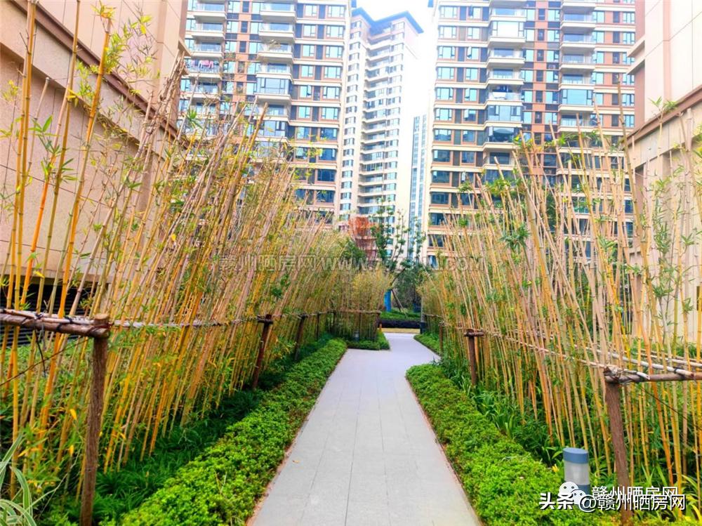 赣州招商雍景湾二手房,赣州雍景湾二手房交易成交量