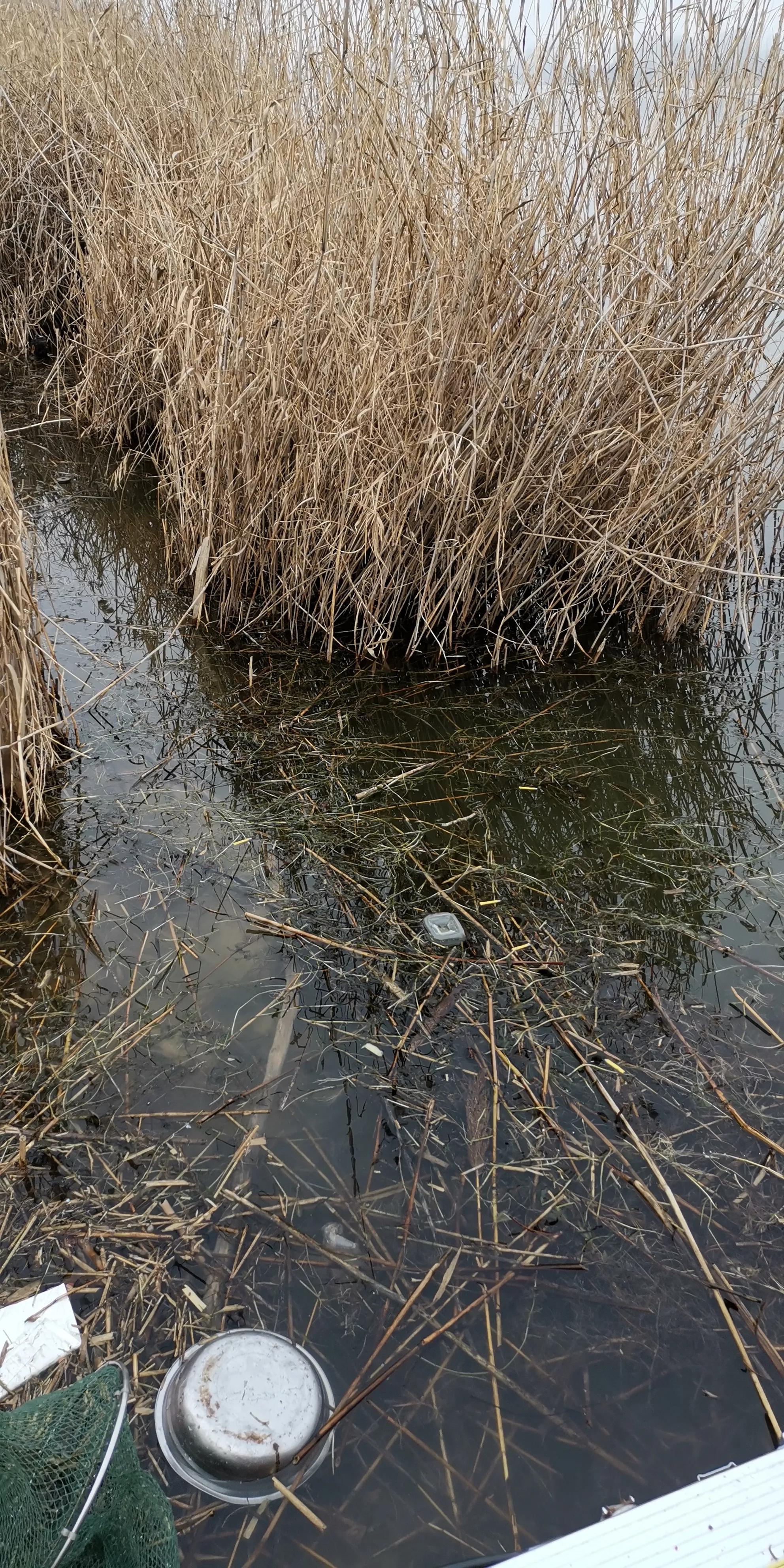 野钓怎么抛竿调漂比较准,钓鱼选钓位天气