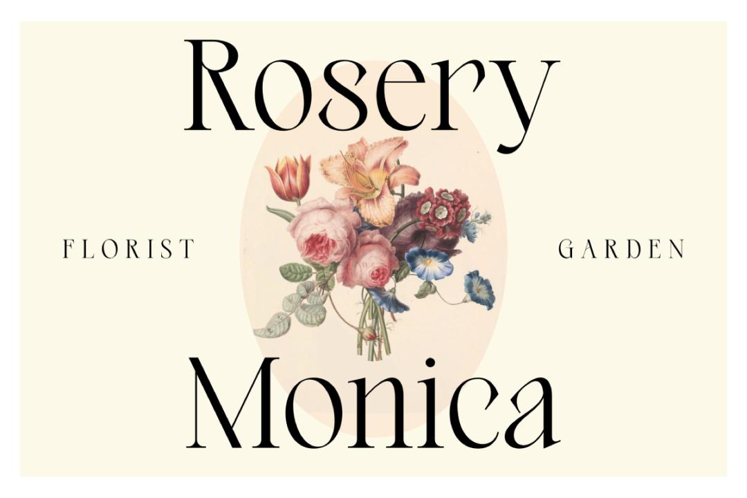 ttf纯英文好看字体,ttf英文字体