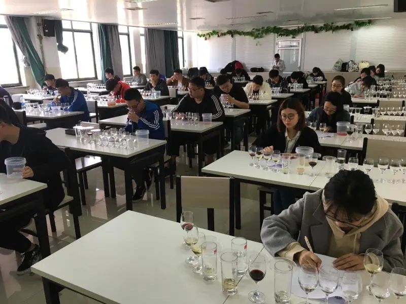 每天了解一个专业软件工程,酿酒专业涉及的课程与知识