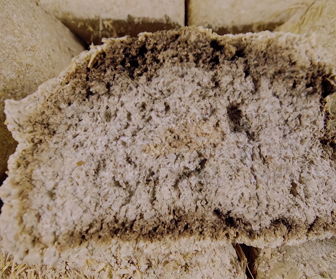 酒美中国·精灵的馈赠