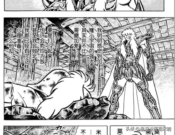 万字深度解读,万字全面解析