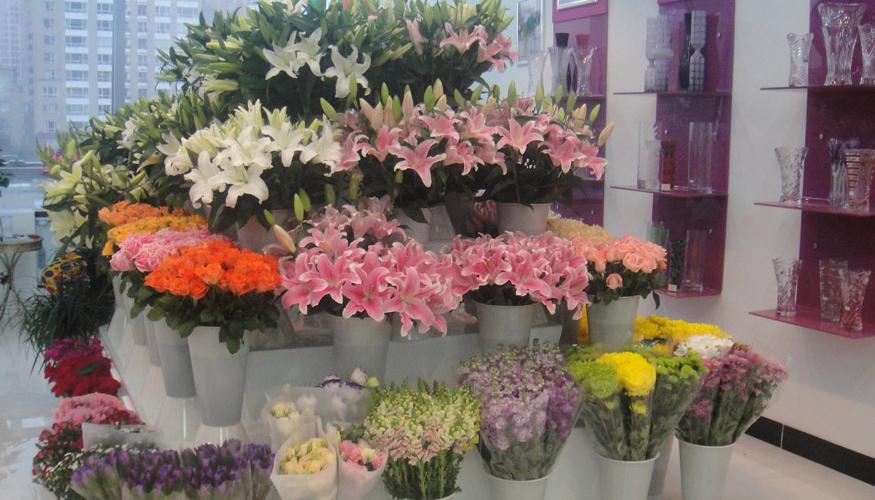 2023年最火爆的加盟店,2023年加盟店有哪些好项目