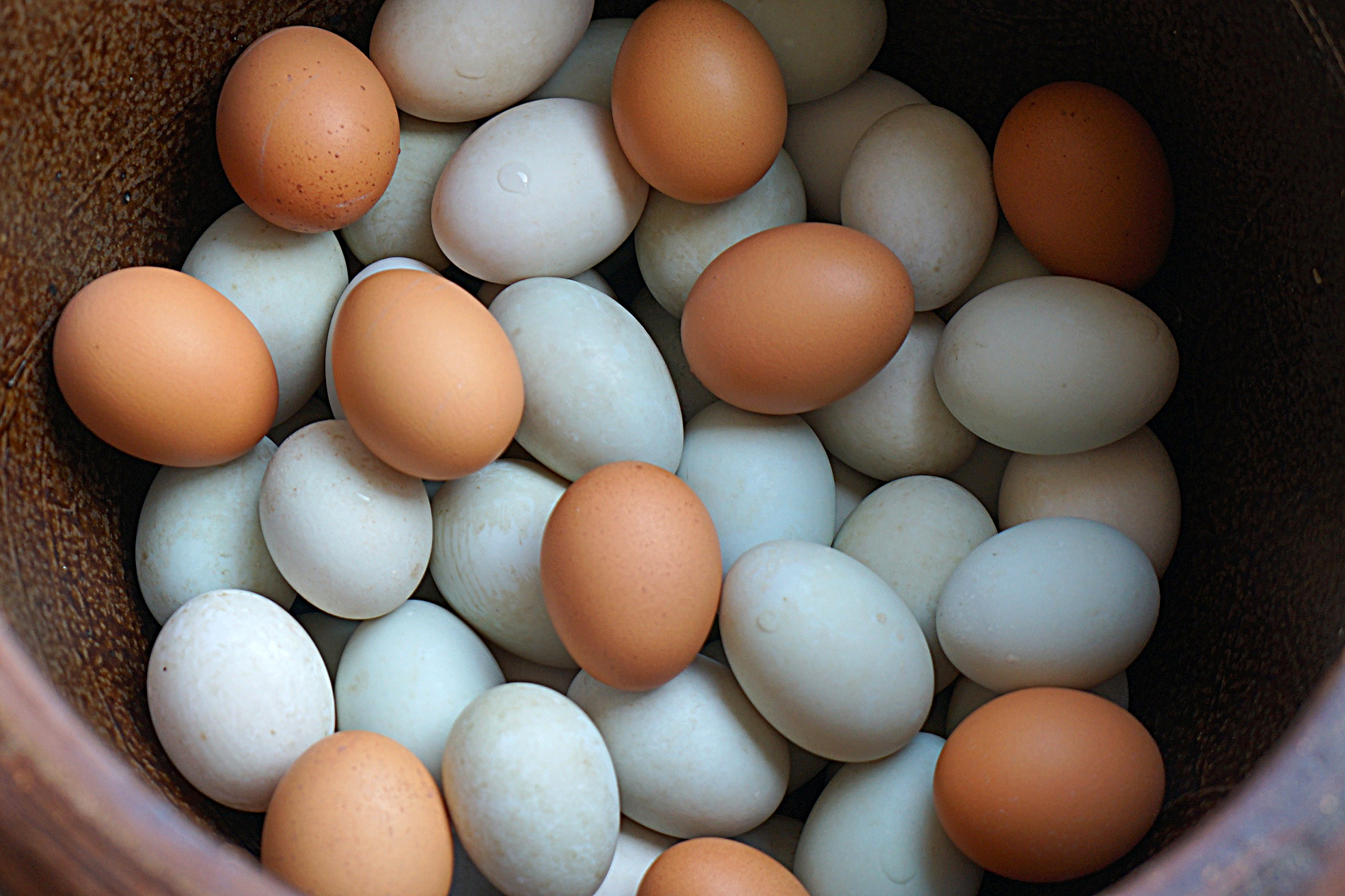 咸鸭蛋的多种腌制方法图,咸鸭蛋的正确腌制方法图解