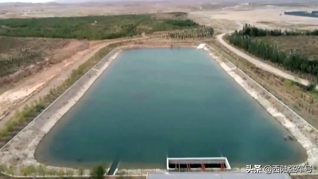 戈壁植树技术,沙漠种树前景如何