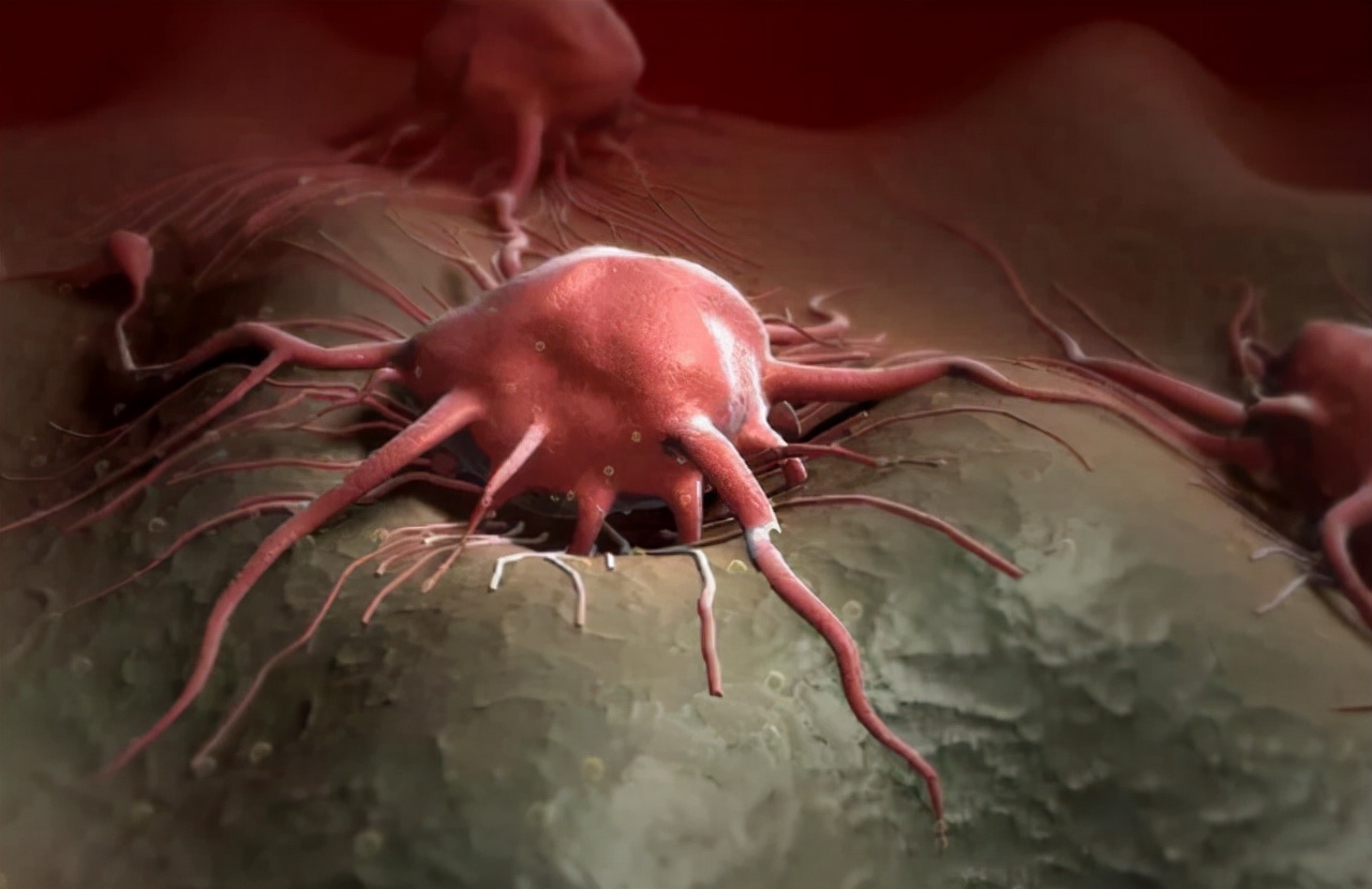 “断食”饿死癌细胞？一项美国研究误导众人，华为前高管因此送命