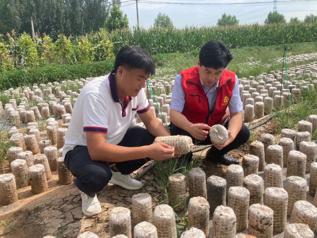 绾夸笂鍔炶捶鍜屾棤绾稿寲鍔炶捶,绾夸笂鍔炶捶妯″紡