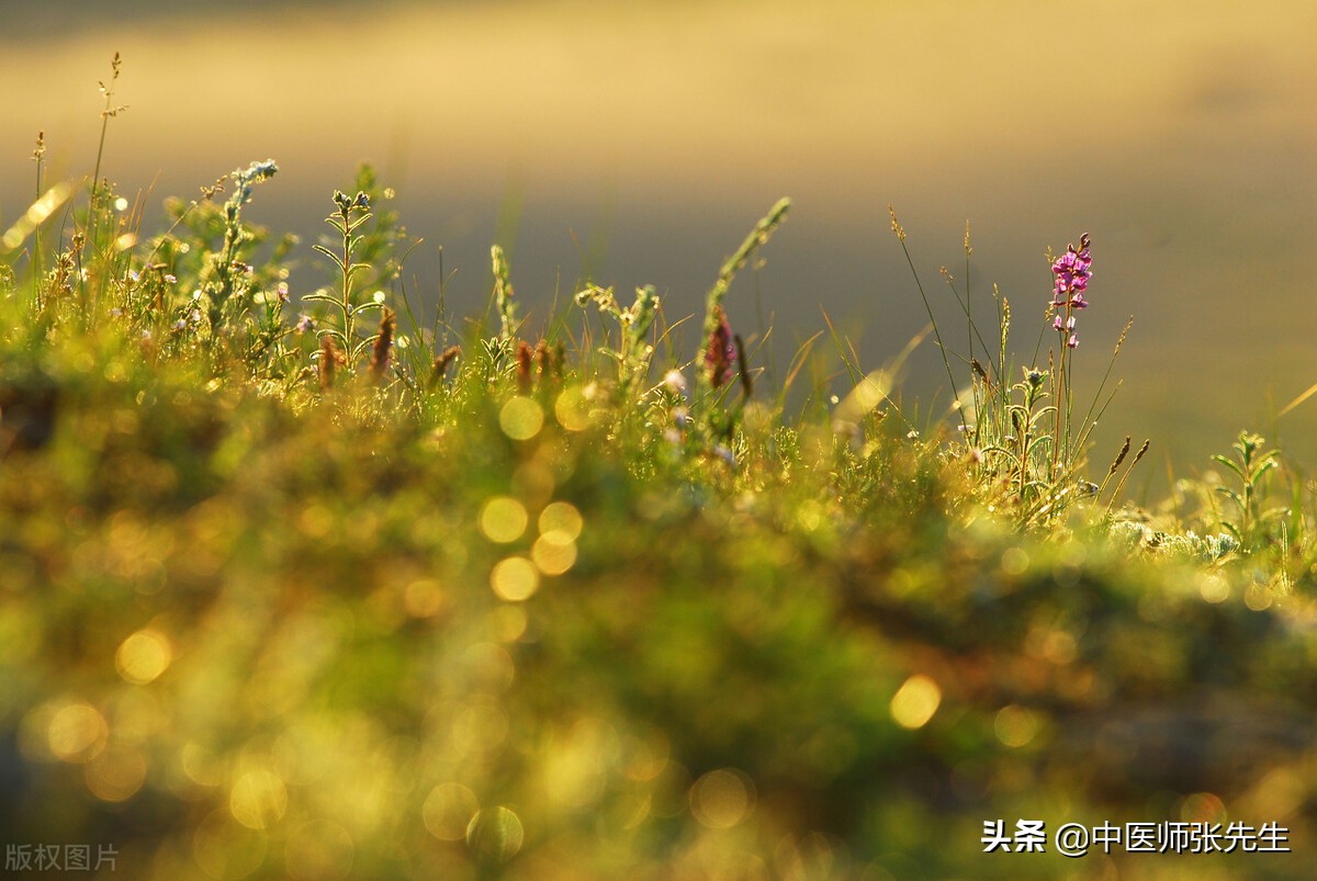 山静日长仁者寿的隶书,山静日长仁者寿寓意是什么
