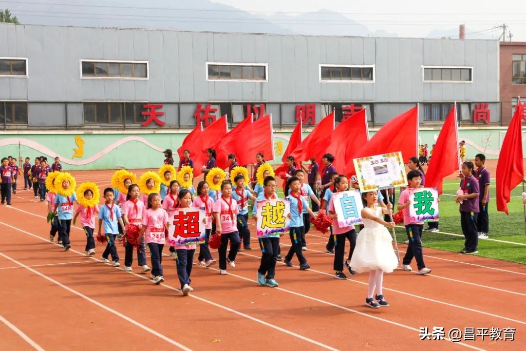 校园赛场青春激扬活力四射,推荐校园竞技
