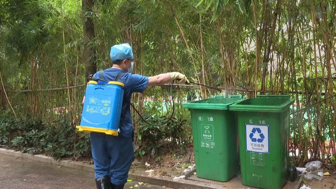 南安保洁上门清洁,南安白蚁消杀