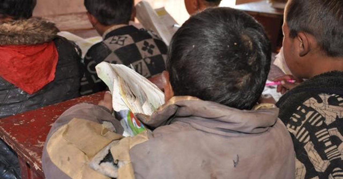 虱子在头上有什么危害,虱子对人体有哪些害处