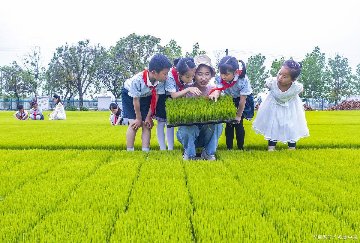 2023年农业的新政策补贴,2023年农业综合补贴政策