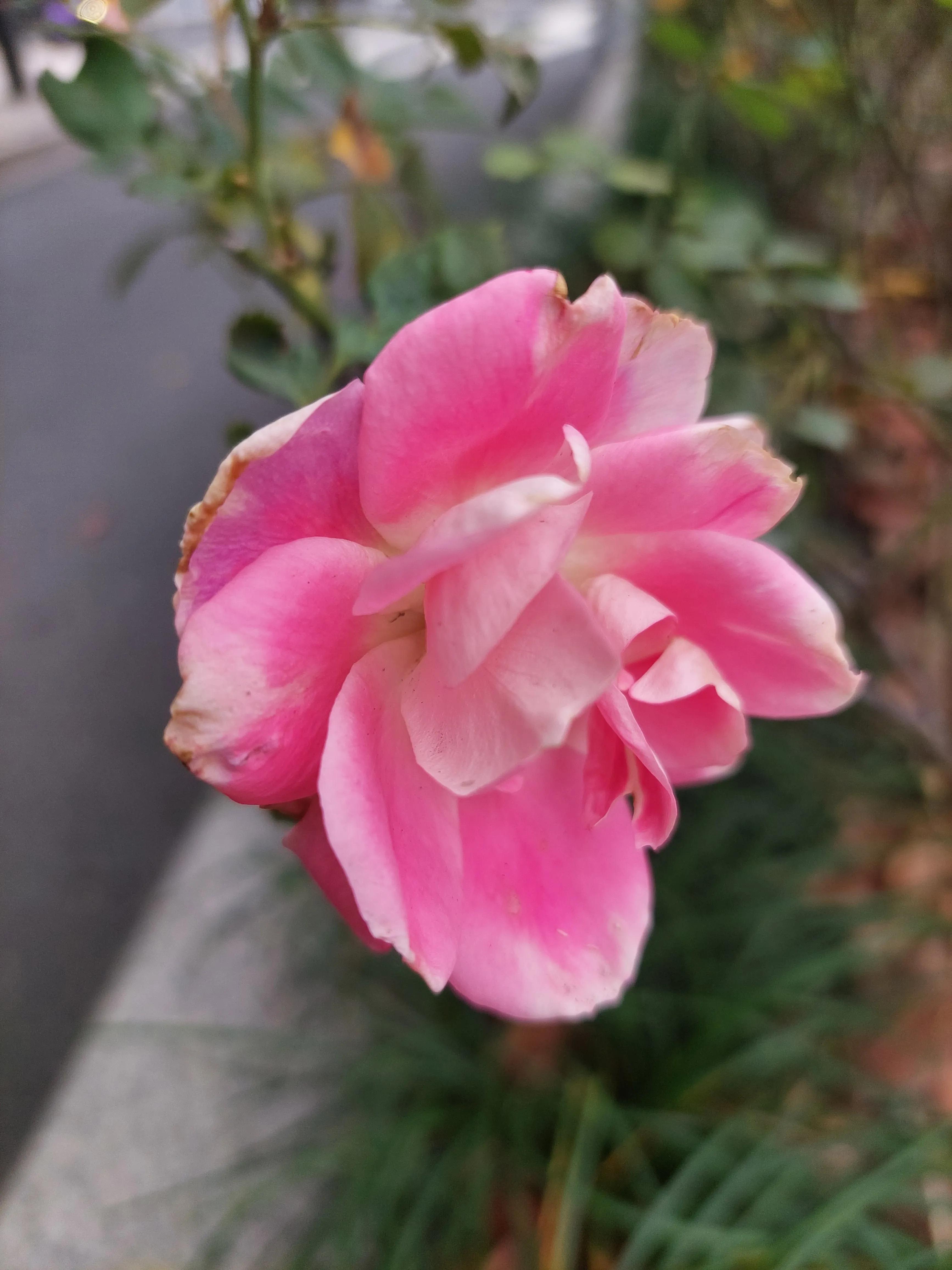 想要足球踢得好,想踢好足球要练什么