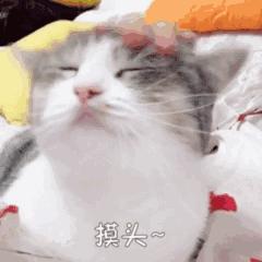 如何打造有效的广告语,打造品牌口号