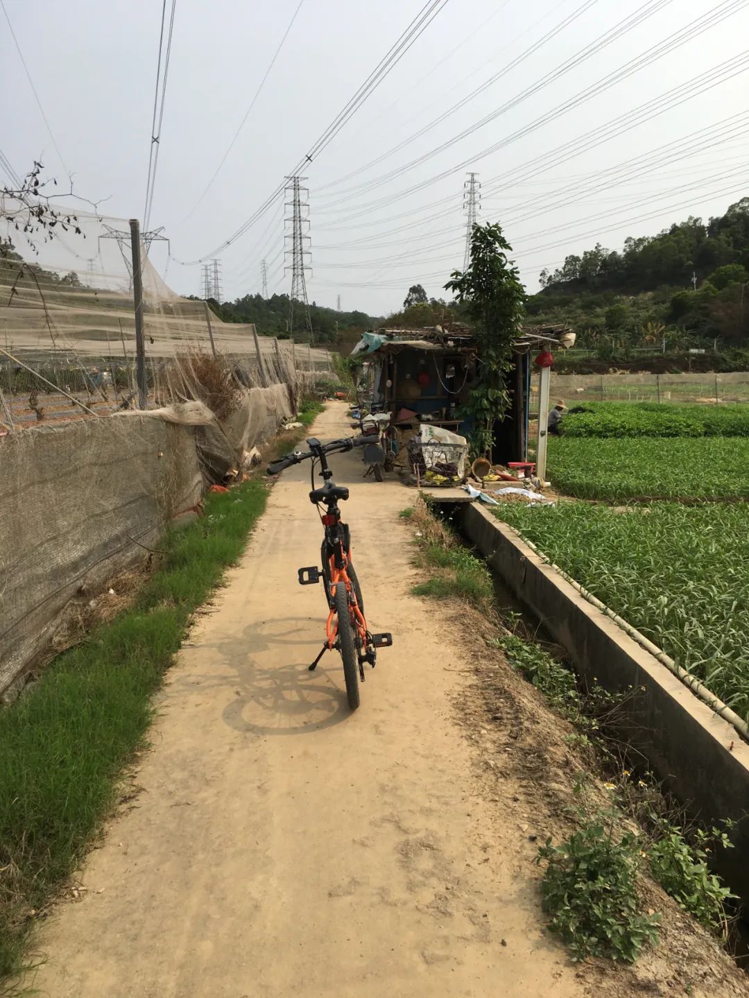 旭光车行雅迪电动车,旭光单车