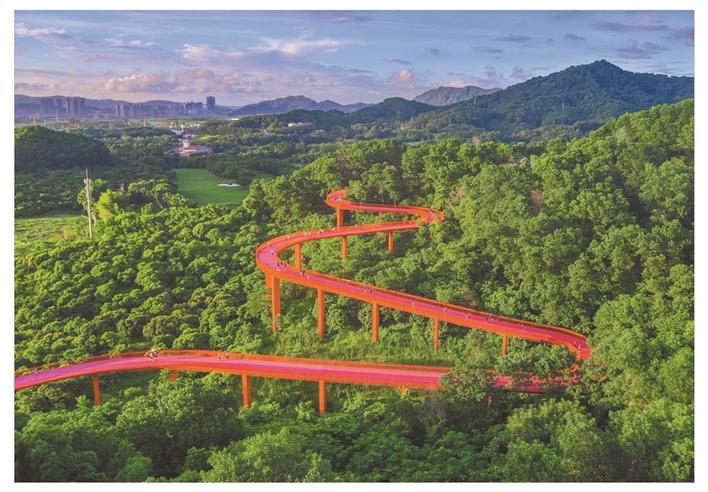 航拍深圳城市全景风光,大深圳美景图片