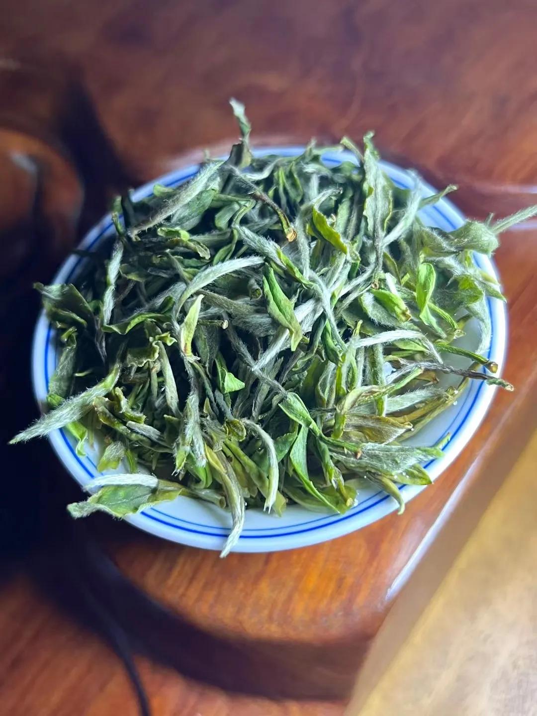 白茶初入门的新手如何能买到好茶,白茶新手入门必买