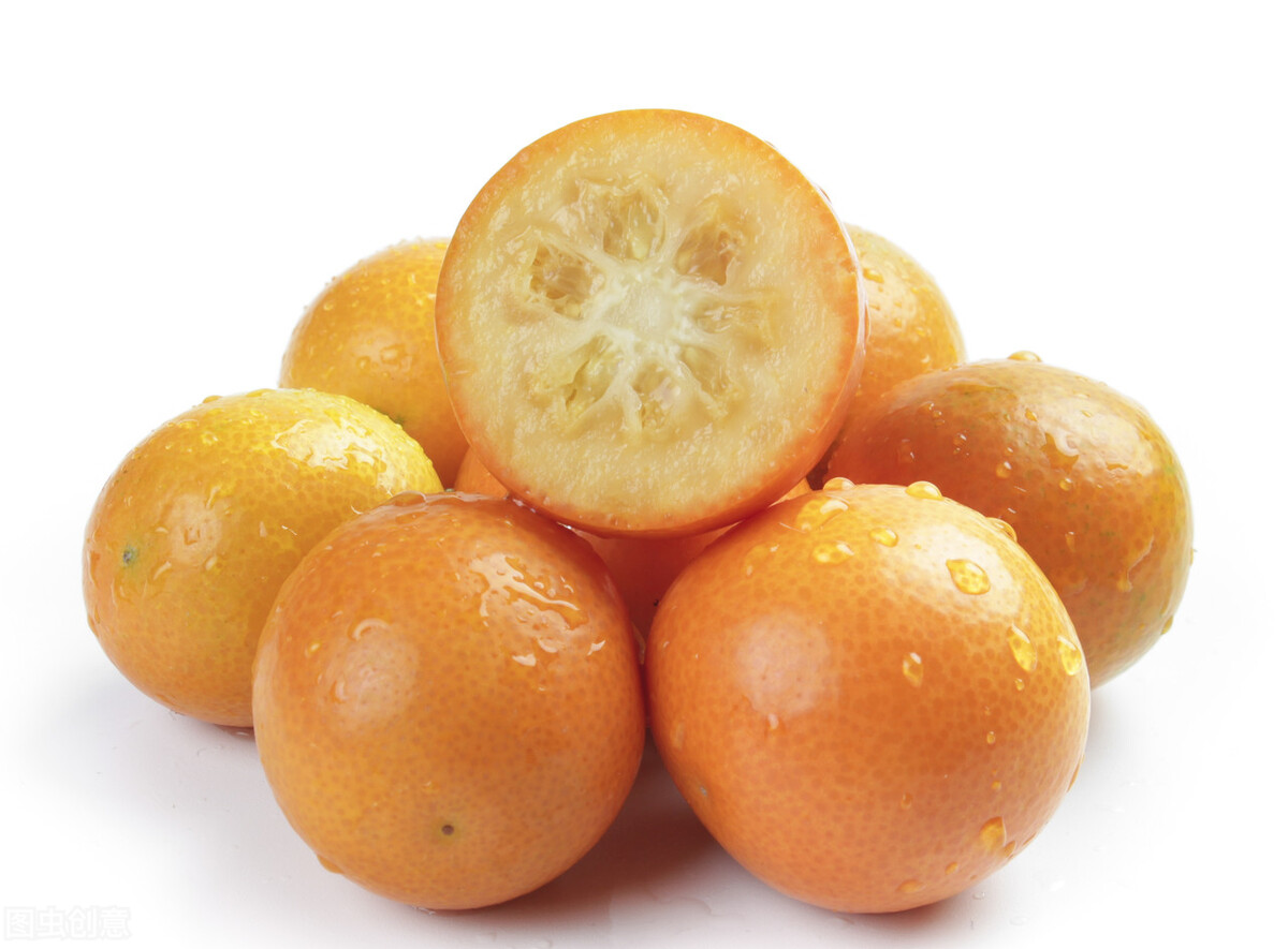 能让狗狗健康的水果,哪些水果狗狗可以吃