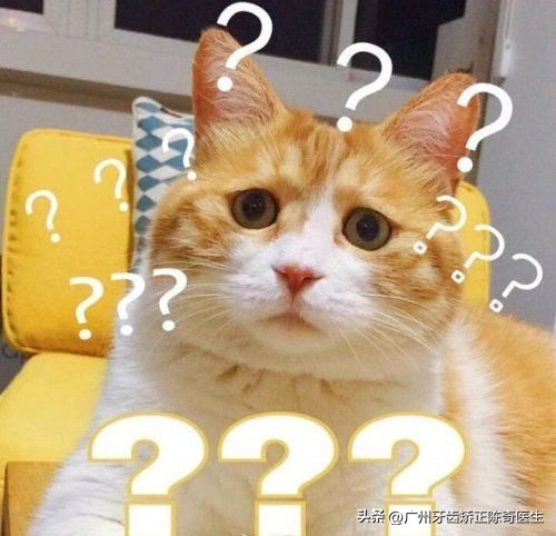 牙齿矫正橡皮筋怎么挂的,牙齿矫正橡皮筋用什么挂