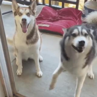 如何安宽带省钱,什么宽带最省钱最快