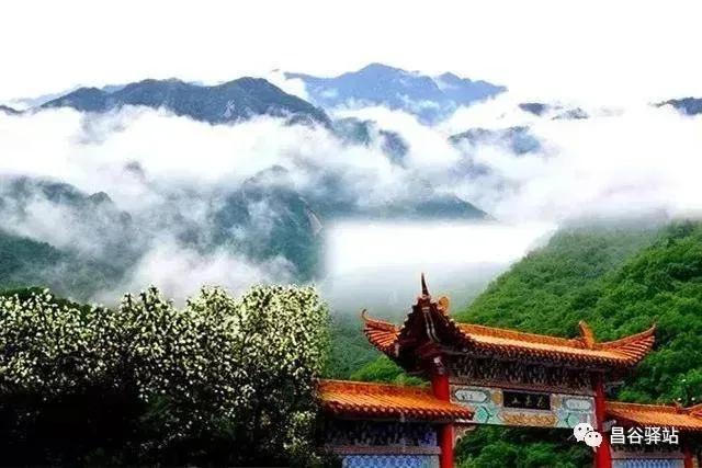 清明诗句古诗四句,白居易10首经典诗词清明