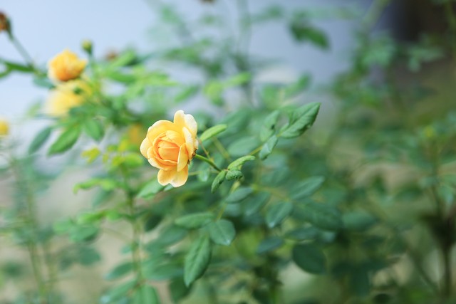 越活越年轻有效的方法,越活越年轻的小妙招