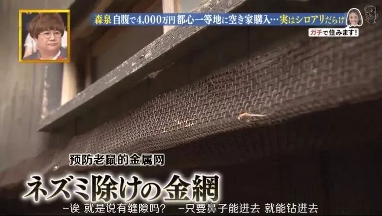 日本林志玲,从模特变包工头!砸4000W买破房,又花500W拆了重装