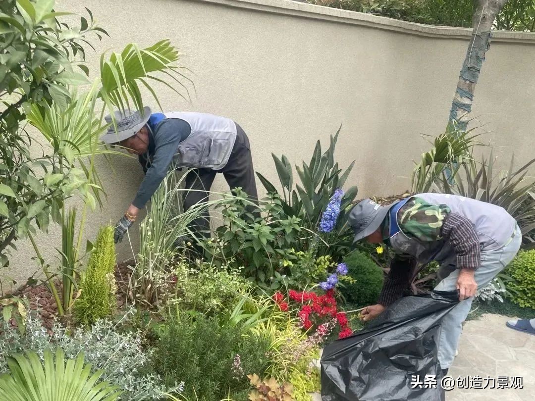 “满园春色”老客户回访日——最美人间四月天，不负*光春**不负你