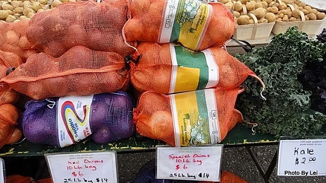 19年加拿大巨轮被堵厦门外海，损失十多亿美元，加总理尝到了苦果