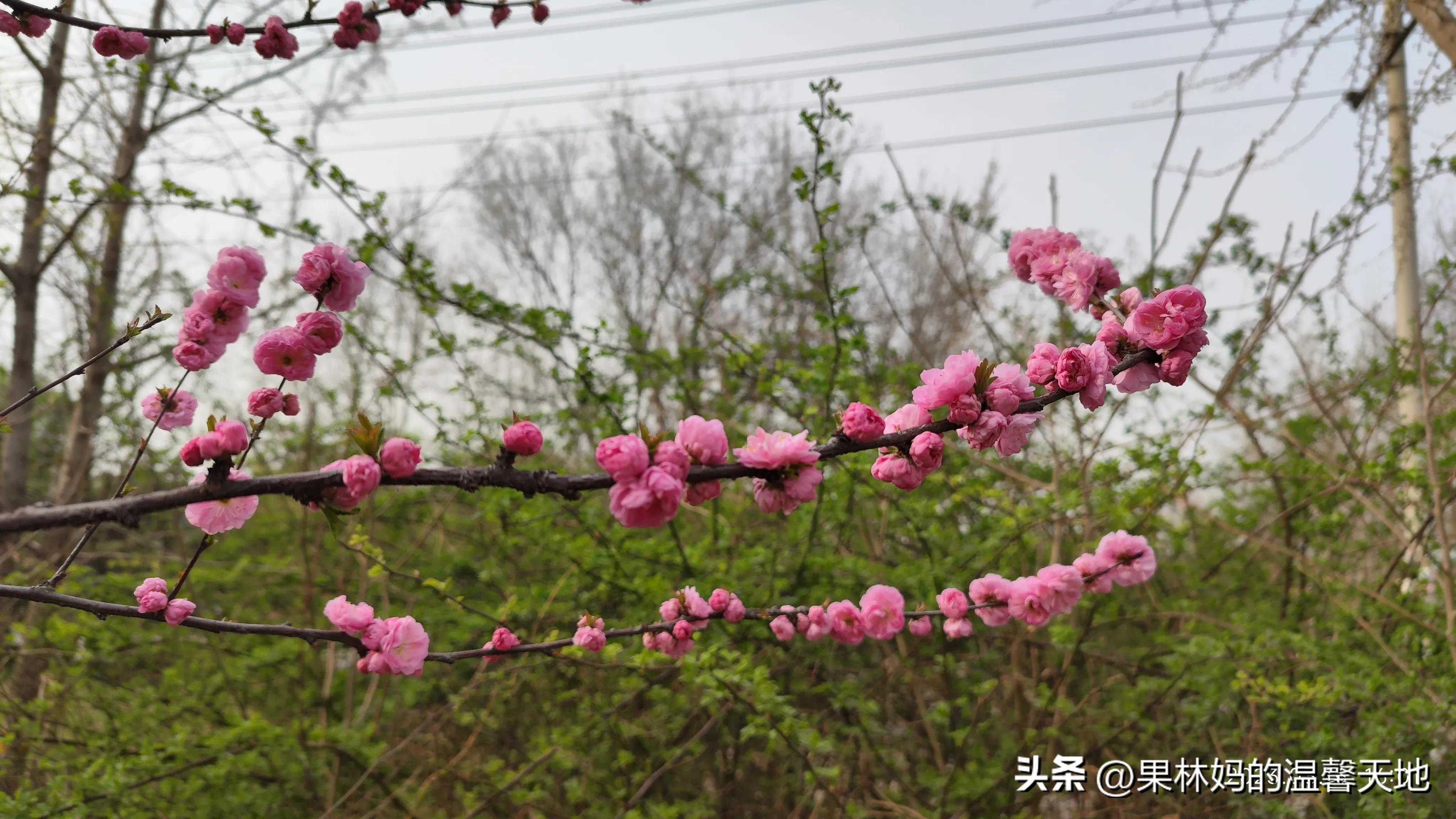 鼻腔有异物可以看急诊吗,晚上鼻腔异物看急诊