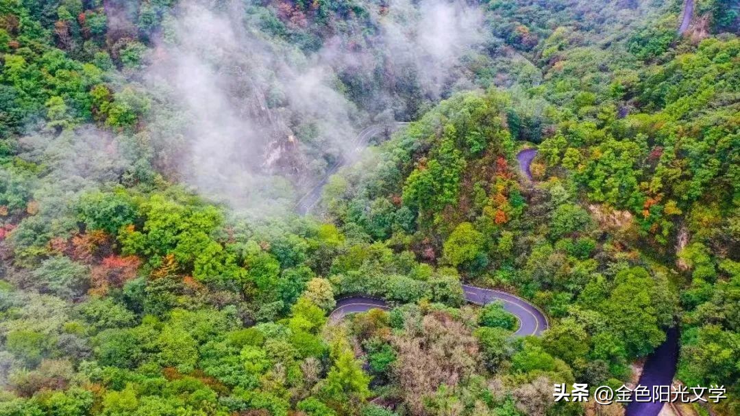 西峡体育馆最新消息,西峡体育