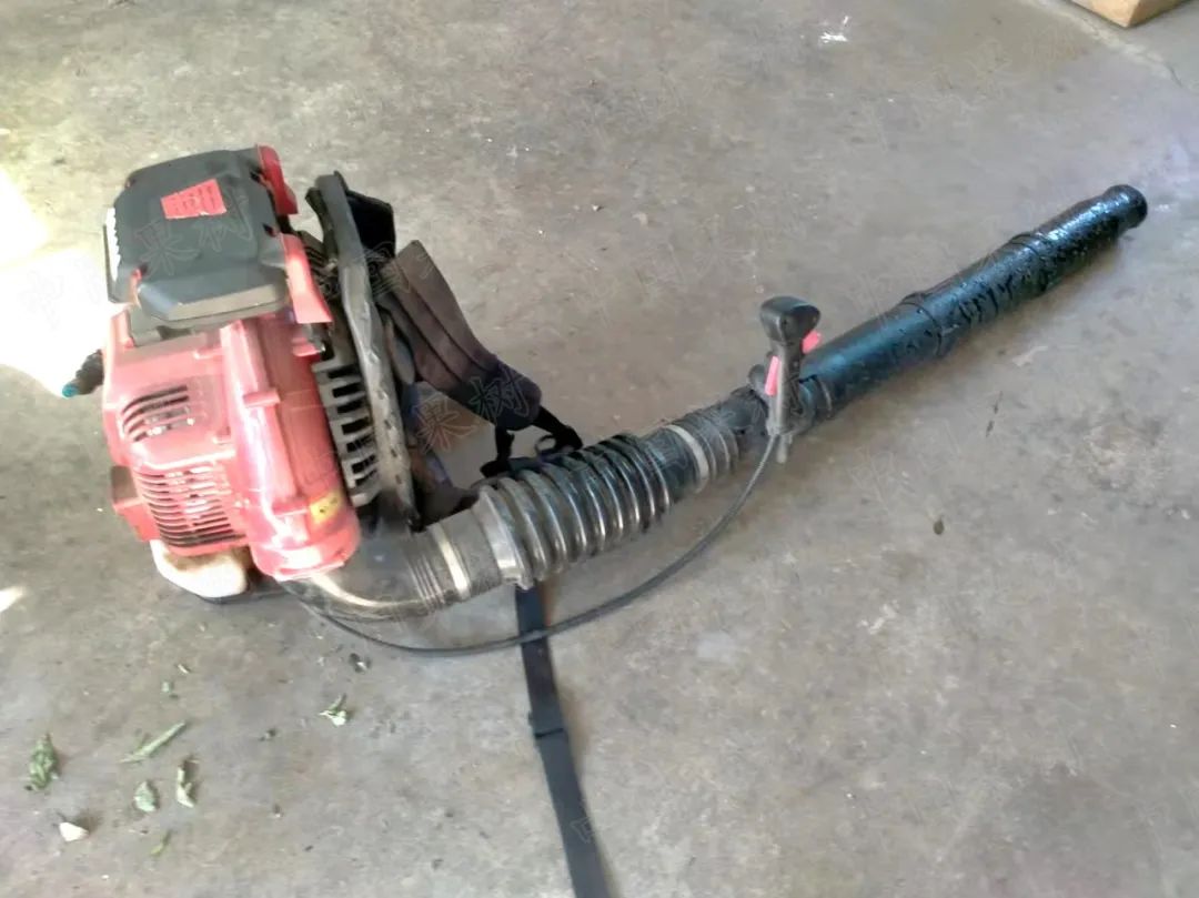 设施农业大棚冬季除雪注意事项及方法