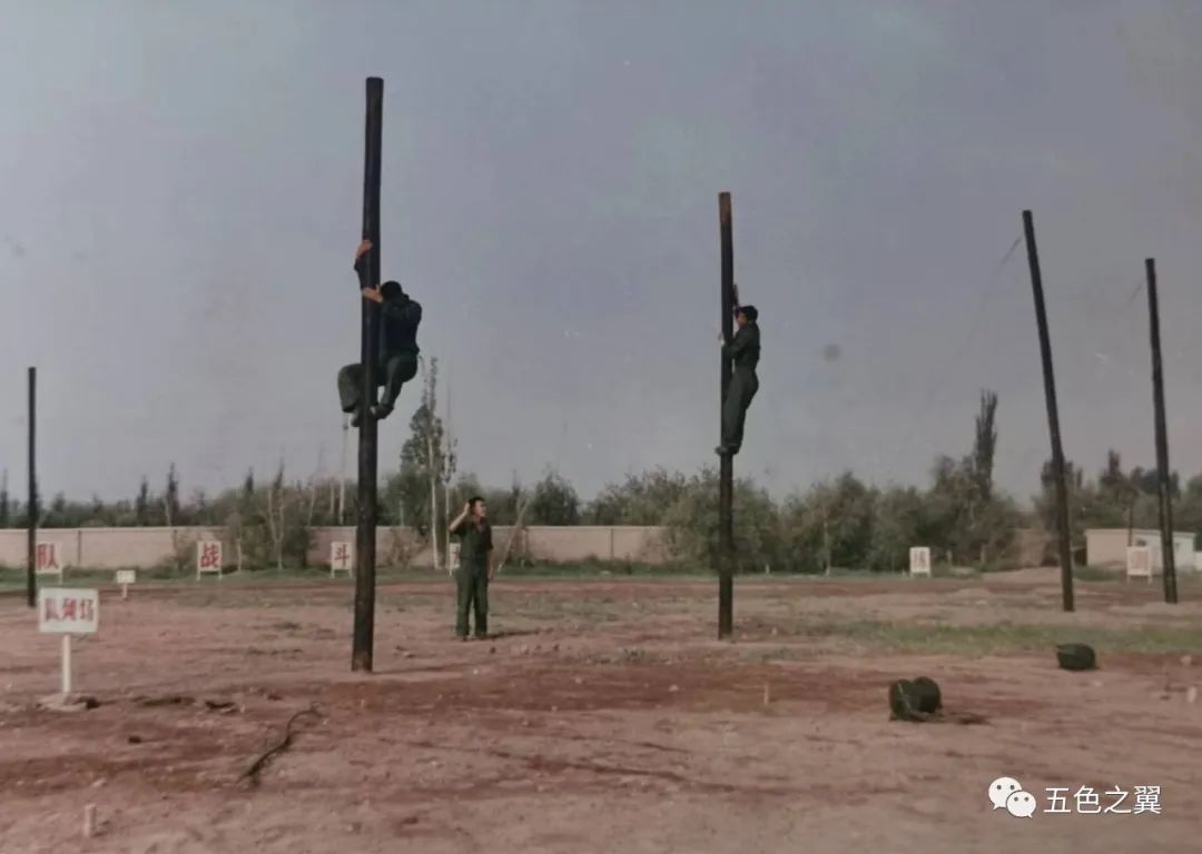 5060米红山河机务站：海拔太高，兔子——牺牲了