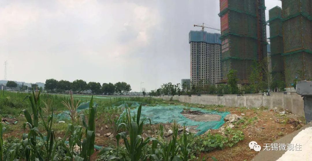 滨湖省府地块最新消息,楼市新政后滨湖区房价走势如何