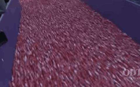 新西兰吉百利巧克力工厂,新西兰吉百利巧克力