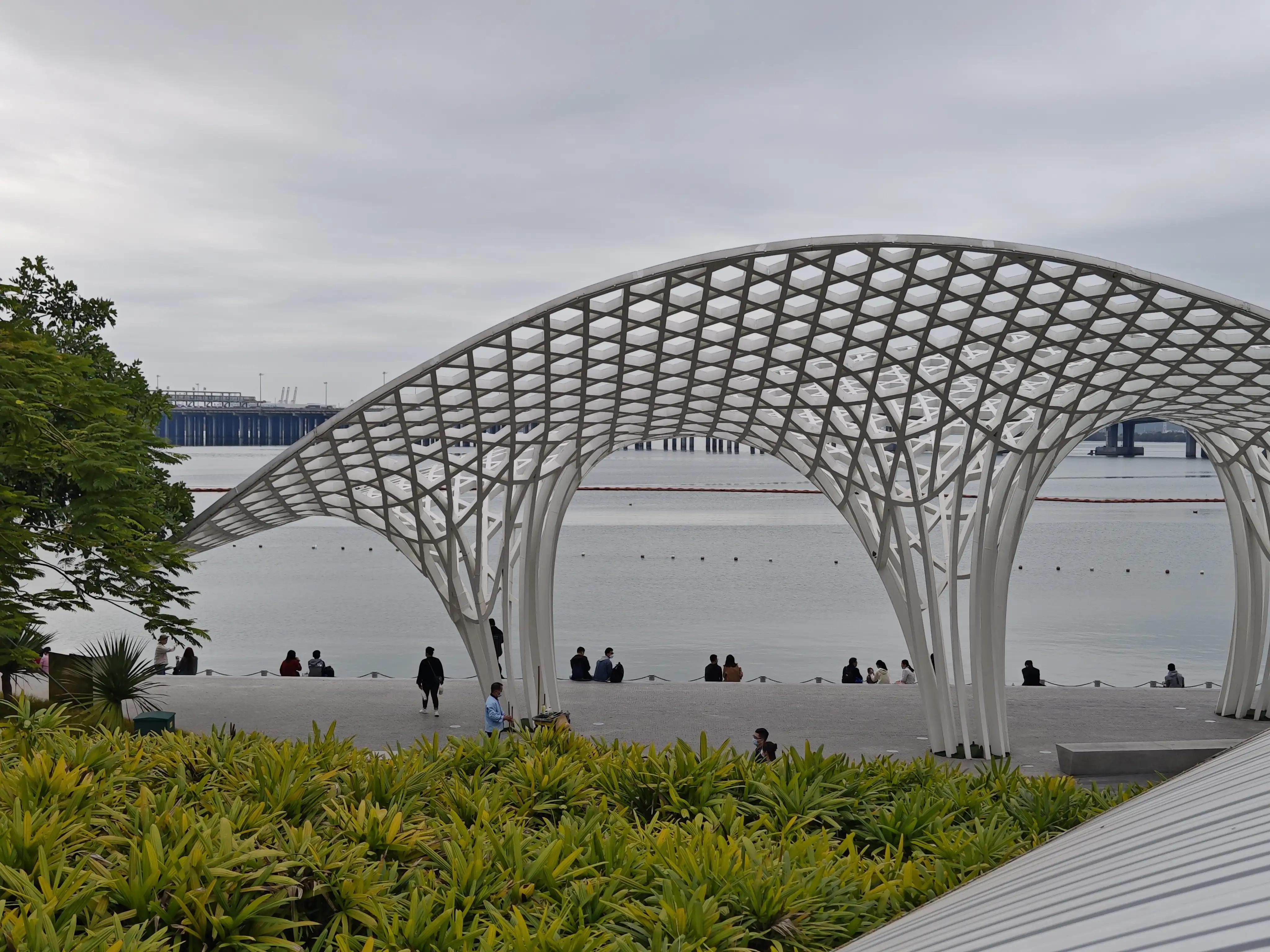 宝安滨海廊桥路线图,宝安滨海廊桥入口