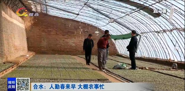 2020年4月份庆阳新闻头条,你好新闻