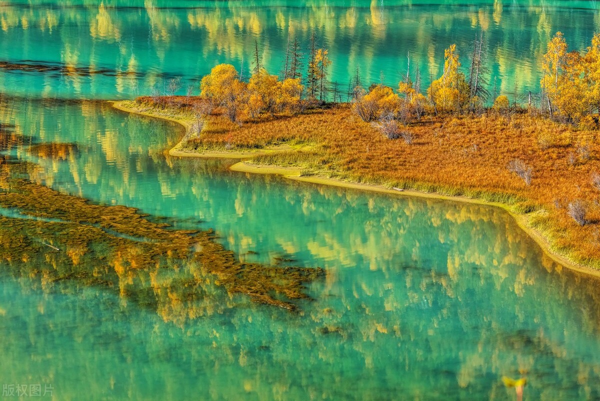 治疗前列腺炎尿频尿不尽吃什么药,中医前列腺炎小便不利