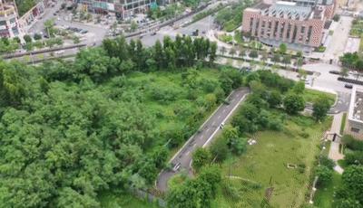 2017湛江市开业社区公园,湛江社区公园