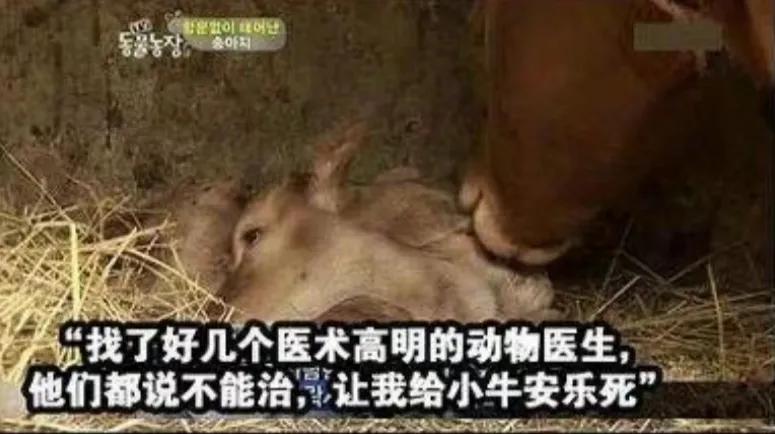 出生时没有肛门，有人却说要养他一辈子