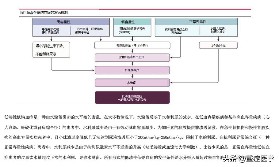 新生儿低钠血症的表现,低钠血症的护理诊断及护理措施