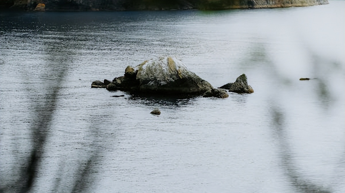 好文分享经典短文,10首最好听的日语歌曲