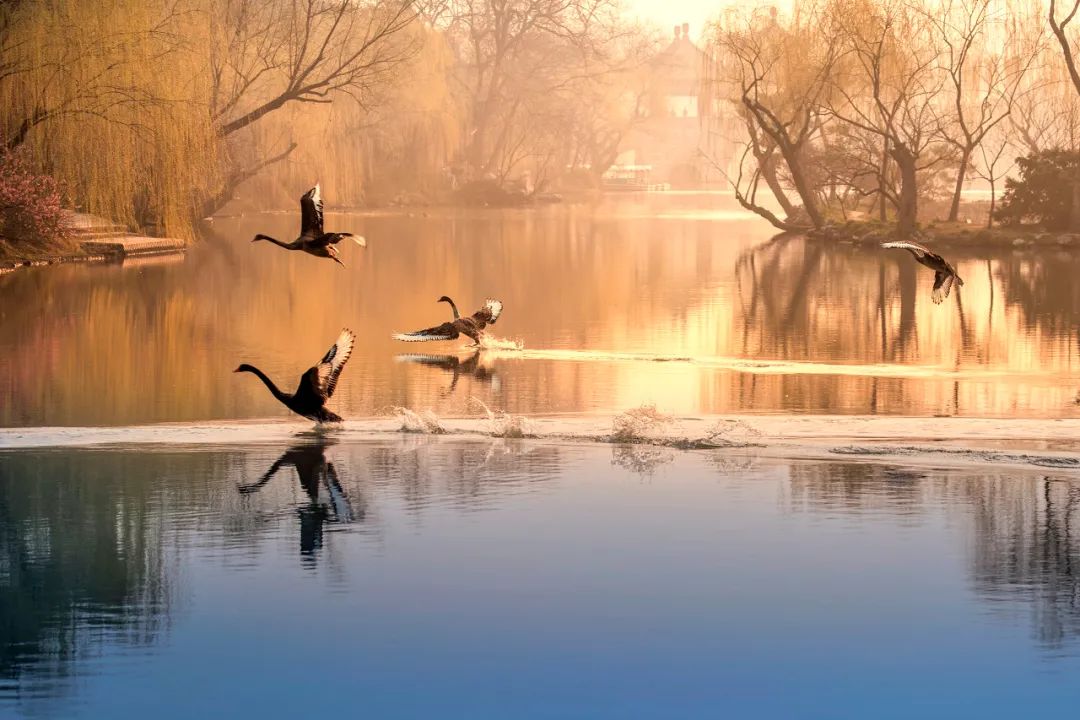 磨金石教育摄影技能干货分享||扬州有哪些地方让你流连忘返