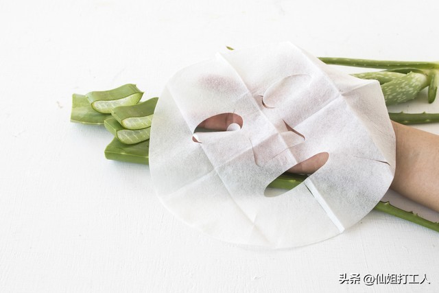 家里养几盆芦荟最好,家里养芦荟作用和功效