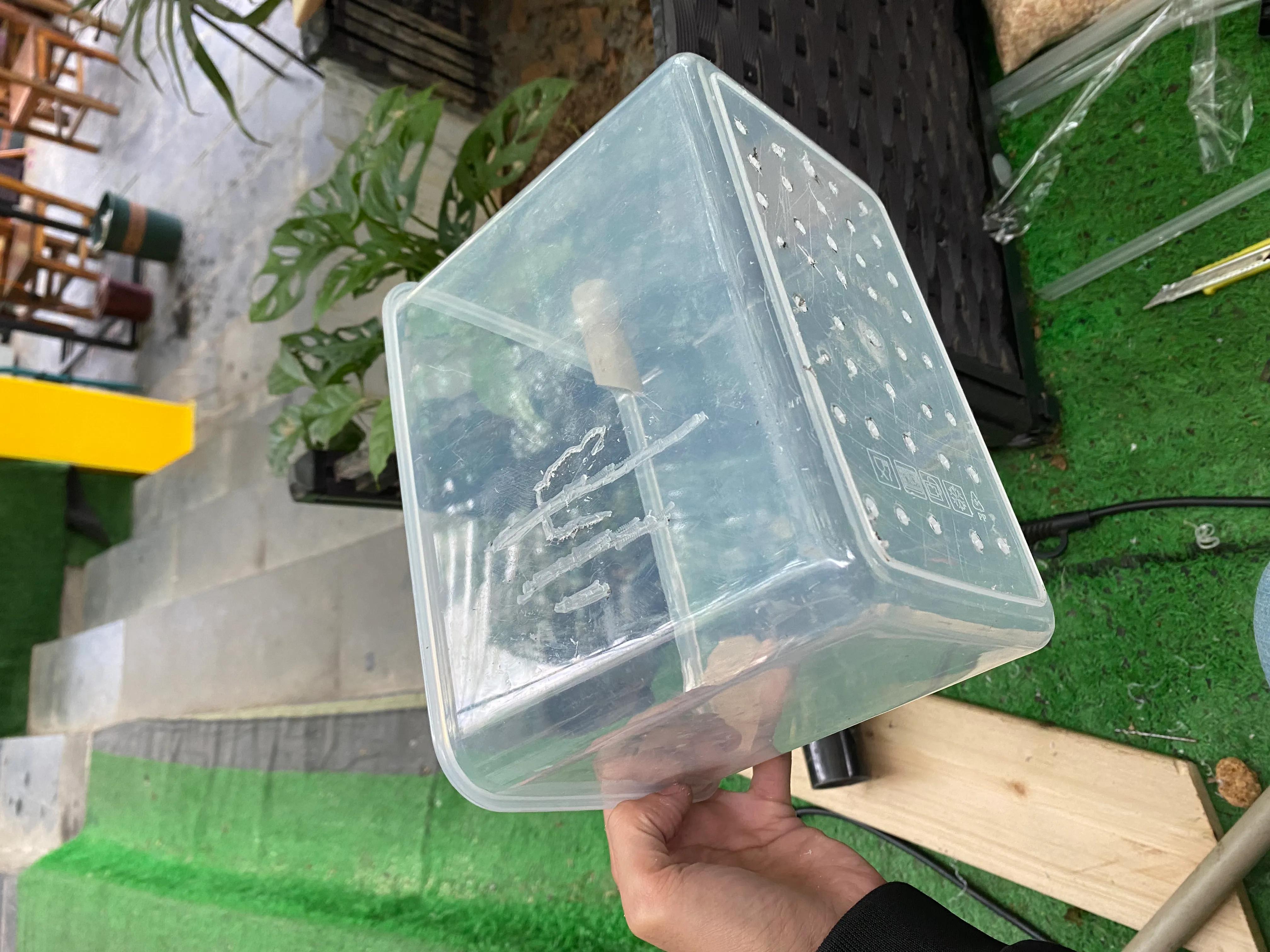 无过滤养龟怎么保持水质清洁,深水养龟用什么过滤效果最好